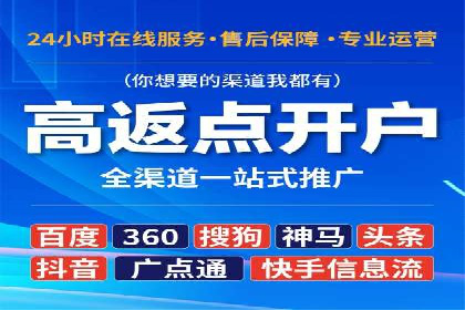 某公司网站sem托管项目纪实
